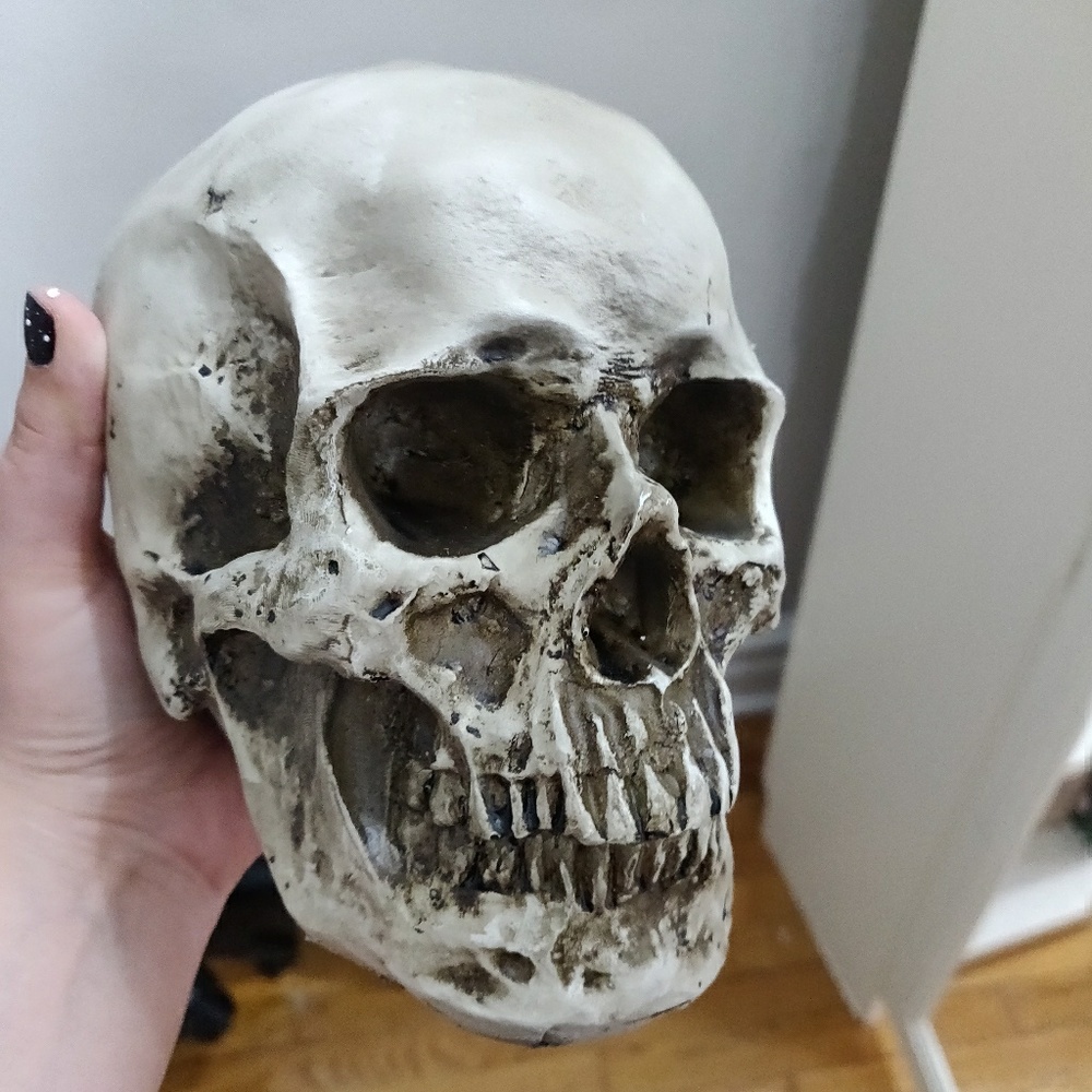 Skull decor